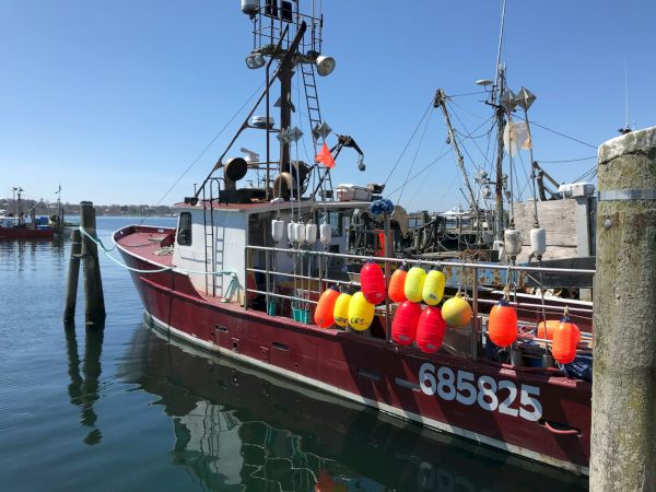 A red fishing boat with the number 685825 is docked, adorned with colorful buoys under a clear blue sky.