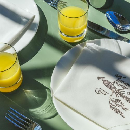 Two place settings with illustrated napkins, drinks of orange juice, and cutlery on a green table.